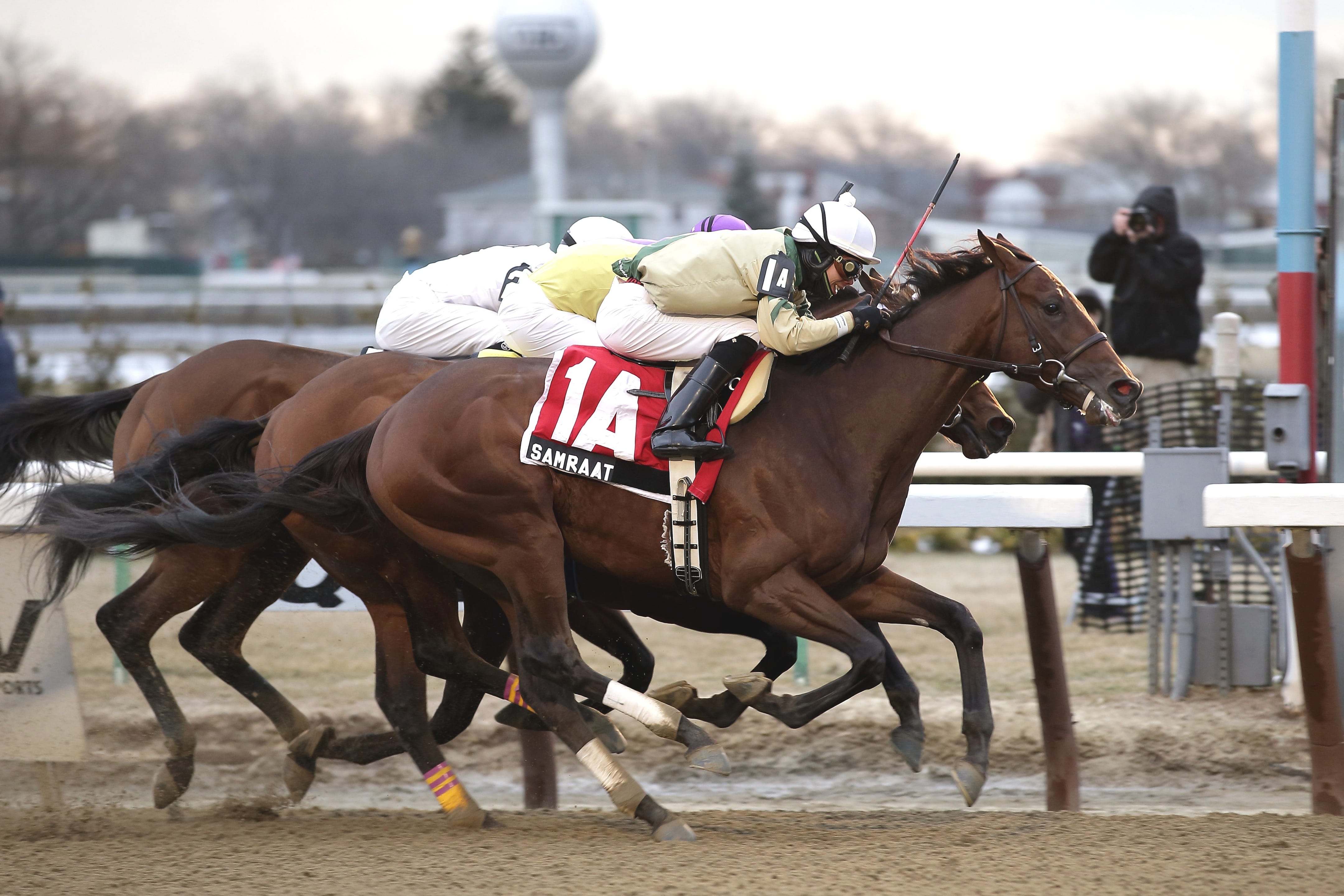 Aqueduct NYRA executives miss Gotham Stakes